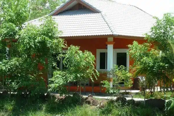 a house with trees around it