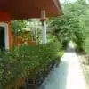 a walkway between a house and a building