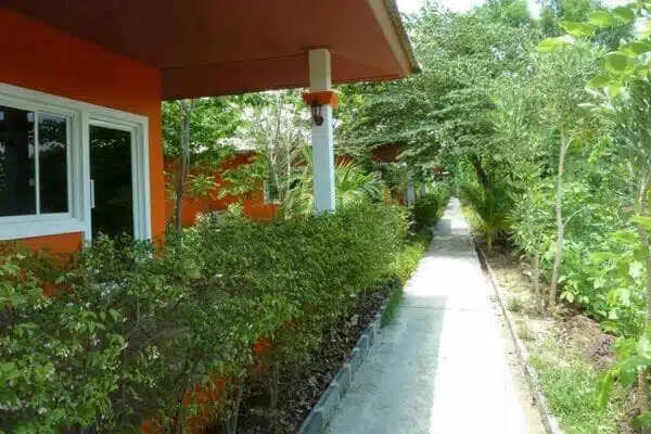 a walkway between a house and a building